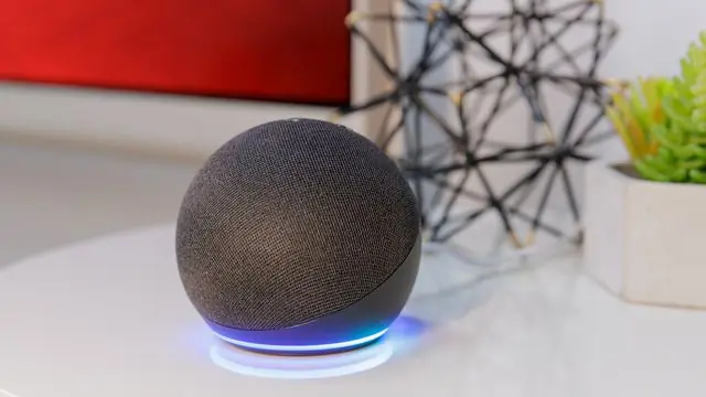 How to reset Alexa - Source: Reproduction